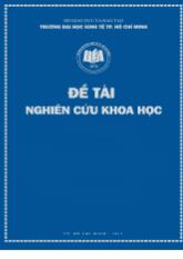 Đề tài Độ nhảy cảm dòng tiền của việc nắm giữ tiền mặt: Bằng chứng tại các công ty Việt Nam