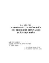 Chlorophyll và những biến đổi trong chế biến và bảo quản thực phẩm