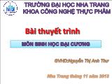 Đề tài Pha sáng trong quang hợp