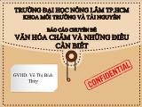 Đề tài Văn hóa chăm và những điều cần biết