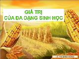 Giá trị của đa dạng sinh học