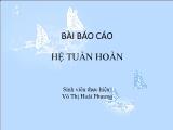 Hệ tuần hoàn