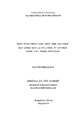 Khóa luận Phân tích chiến lược phân phối sản phẩm hạt giống bắp lai của công ty cổ phần giống cây trồng miền nam