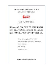 Luận văn Khảo sát các yếu tố ảnh hưởng đến quá trình sản xuất than lên khả năng hấp phụ chọn lọc khí CO2