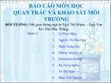 Quan trắc và khảo sát môi trường