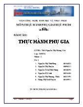 Thực hành phụ gia