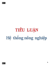 Tiểu luận Hệ thống nông nghiệp