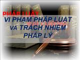 Vi phạm pháp luật và trách nhiệm pháp lý