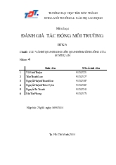 Đề tài Các vấn để quan trong liên quan đến môi trường của một dự án