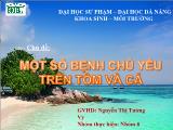 Đề tài Một số bệnh chủ yếu trên tôm và cá