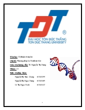 Đề tài Phương pháp lai Northern blot