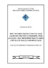 Điều tra hiện trạng canh tác xoài tại huyện Tri Tôn và Tịnh Biên, tỉnh An Giang - Đặc điểm hình thái và triệu chứng gây hại của dòi bông xoài