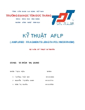 Kỹ thuật AFLP (Amplified Fragments Length Polymorphism)