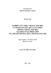 Luận án Nghiên cứu thực trạng sốt rét và đánh giá kết quả can thiệp phòng chống sốt rét tại một số xã biên giới của huyện Hướng Hóa, tỉnh Quảng Trị