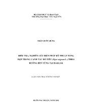 Luận văn Điều tra, nghiên cứu biện pháp kỹ thuật tổng hợp trong canh tác hồ tiêu (Piper nigrum L.) theo hướng bền vững tại Đắk Lắk