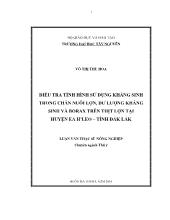 Luận văn Điều tra tình hình sử dụng kháng sinh trong chăn nuôi lợn, dư lượng kháng sinh và Borax trên thịt lợn tại huyện Ea H'Leo, tỉnh Đắk Lắk