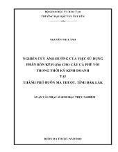 Luận văn Nghiên cứu ảnh hưởng của việc sử dụng phân bón kẽm (Zn) cho cây cà phê vối trong thời kỳ kinh doanh tại Thành phố Buôn Ma Thuột, tỉnh Đăk Lăk