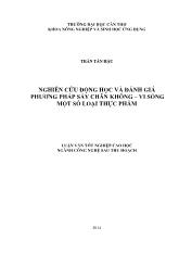 Luận văn Nghiên cứu động học và đánh giá phương pháp sấy chân không vi sóng một số loại thực phẩm