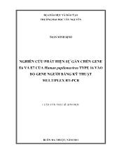 Luận văn Nghiên cứu phát hiện sự gắn chèn Gene E6 và E7 của Human papilomavirus TYPE 16 vào bộ Gene người bằng kỹ thuật Multiplex RT-PCR