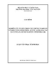 Luận văn Nghiên cứu tuyển chọn các chủng vi khuẩn có khả năng sinh indol acetic acid (iaa) tại xã cưm’lan, huyện easoup, tỉnh Đăk Lăk