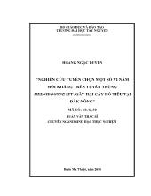 Luận văn Nghiên cứu tuyển chọn một số vi nấm đối kháng trên tuyến trùng Meloidogyne SPP. gây hại cây hồ tiêu tại Đăk Nông