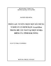 Luận văn Phân lập, tuyển chọn một số chủng vi khuẩn cố định đạm Azospirillum trong rễ cây ngô tại một số địa điểm của tỉnh Đắk Nông