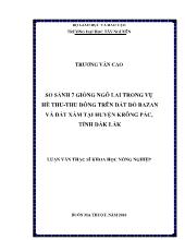 Luận văn So sánh 7 giống ngô lai trong vụ hè thu-Thu đông trên đất đỏ Bazan và đất xám tại huyện Krông Pắc, tỉnh Đắk Lắk