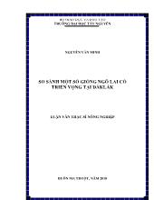 Luận văn So sánh một số giống ngô lai có triển vọng tại Đắk Lắk