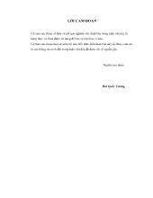 Luận văn Thực trạng bệnh viêm tử cung ở đàn lợn nái ngoại nuôi tại huyện Krông Pắk – tỉnh Đắk Lắk và thử nghiệm điều trị