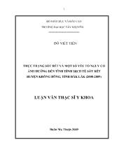 Luận văn Thực trạng sốt rét và một số yếu tố nguy cơ ảnh hưởng đến tình hình dịch tễ sốt rét huyện Krông Bông, tỉnh Đăk Lăk (2008-2009)
