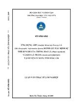 Luận văn Ứng dụng AHP (Analytic Hierarchy Process) và GIS (Geographic Information System) đánh giá xác định sự thích nghi của thông hai lá (Pinus merkusii) và keo lá tràm (Acacia auriculiformis) tại huyện cư Kuin, tỉnh Đắk Lắk