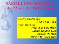 Năng lượng sinh học - ATP và chu trình ATP