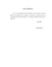 Nghiên cứu một số đặc điểm sinh học và thử nghiệm sinh sản loài tôm nước ngọt Macrobrachium lanchesteri ở Đắk Lắk