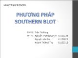 Phương pháp southern blot