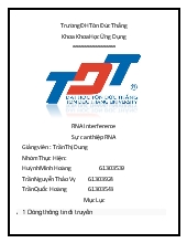 Sự can thiệp RNA