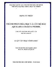 Thành phần hóa học lá cây dó bầu Aquilaria Crassna pierre.