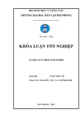 Đề án Một số biện pháp nâng cao hiệu quả hoạt động sản xuất kinh doanh tại công ty trách nhiệm hữu hạn Việt Á