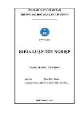 Hoàn thiện tổ chức công tác kế toán nguyên vật liệu tại công ty cổ phần Việt Thịnh