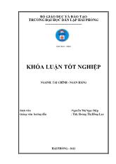 Khóa luận Giải pháp nâng cao hiệu quả hoạt động tín dụng tại ngân hàng thương mại cổ phần nam Việt – Vhi nhánh Hải Phòng