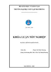 Khóa luận Hoàn thiện tổ chức kế toán doanh thu, chi phí và xác định kết quả kinh doanh tại công ty cổ phần đầu tư Tân Vũ Minh