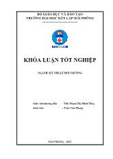 Khóa luận Nghiên cứu khả năng hấp phụ sắt trong nước của vật liệu hấp phụ chế tạo từ xơ dừa