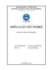 Khóa luận Tìm hiểu khả năng hấp phụ sắt của vật liệu hấp phụ chế tạo từ rơm