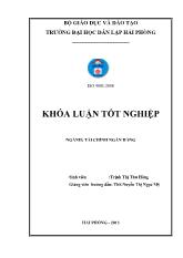 Đề tài Nâng cao hiệu quả cho vay ngắn hạn tại ngân hàng thương mại cổ phần Sài Gòn thuơng tín chi nhánh Hải Phòng