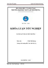 Khóa luận Đánh giá hiện trạng chất thải rắn sinh hoạt thành phố hải duơng, tỉnh Hải Duơng và đề xuất giải pháp quản lý