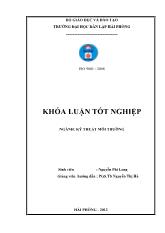 Khóa luận Đánh giá hiện trạng và đề xuất giải pháp bảo vệ môi trƣờng tại trang trại lợn tập trung huyện Vĩnh Bảo