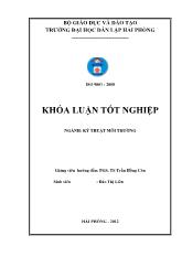 Khóa luận Khảo sát đánh giá hiệu quả xử lý của các công đoạn và tính toán thiết kế hệ thống xử lý nước thải tái chế giấy ở làng nghề yên phong – Bắc Ninh