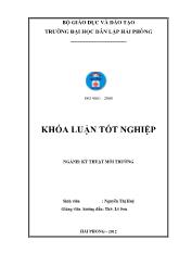 Khóa luận Môi trường nông thôn hải phõng, thực trạng và giải pháp