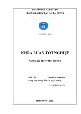 Khóa luận Nghiên cứu biến tính than hoạt tính bằng iodine và ứng dụng xử lý hg (II) trong môi truờng nuớc