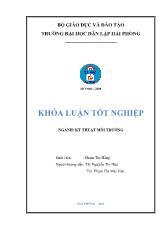 Khóa luận Nghiên cứu biến tính zeolit bằng dung dịch Brôm để xử lý Hg (II) trong môi truờng nuớc