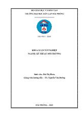 Khóa luận Nghiên cứu chế tạo nhựa dễ phân hủy sinh học đi từ tinh bột sắn dựa trên nền nhựa PVA